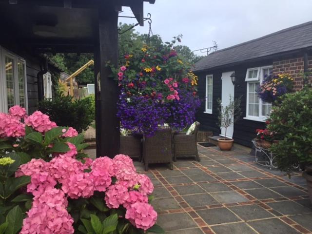 Rudgwick The Coach House Bed & Breakfast エクステリア 写真